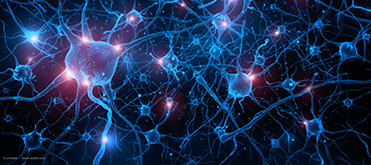 medicina nuclear, cursos, actualizacion neurociencia nucleares